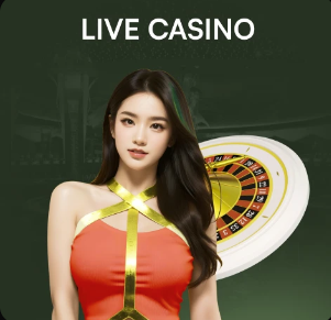 国安观察丨国安上次去沈阳，鸡架还没火